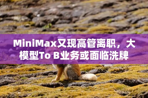 MiniMax又现高管离职，大模型To B业务或面临洗牌