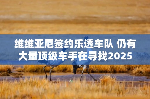 维维亚尼签约乐透车队 仍有大量顶级车手在寻找2025年合同