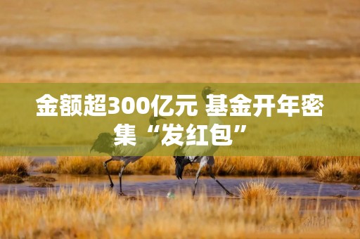 金额超300亿元 基金开年密集“发红包”