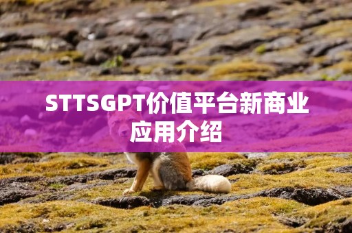 STTSGPT价值平台新商业应用介绍