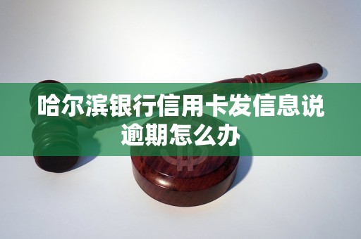 哈尔滨银行信用卡发信息说逾期怎么办