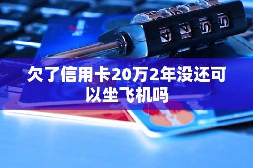 欠了信用卡20万2年没还可以坐飞机吗