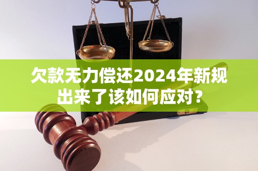 欠款无力偿还2024年新规出来了该如何应对？