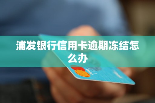 浦发银行信用卡逾期冻结怎么办