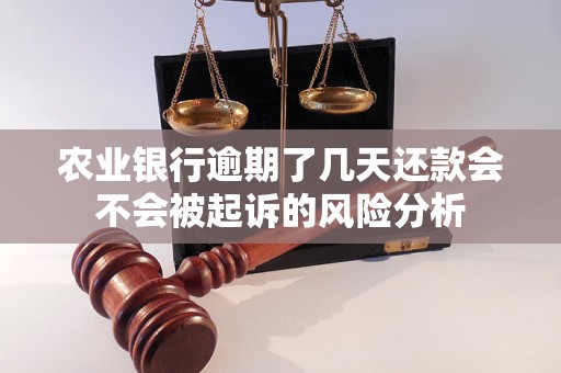 农业银行逾期了几天还款会不会被起诉的风险分析