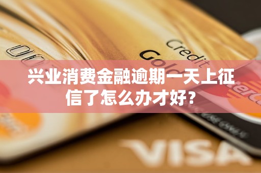 兴业消费金融逾期一天上征信了怎么办才好？