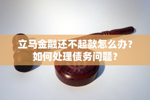 立马金融还不起款怎么办？如何处理债务问题？