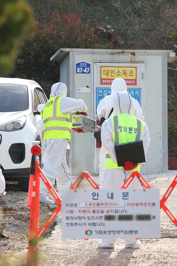 全美已有66人确诊感染禽流感病毒 卫生专家警告可能发展成大流行病