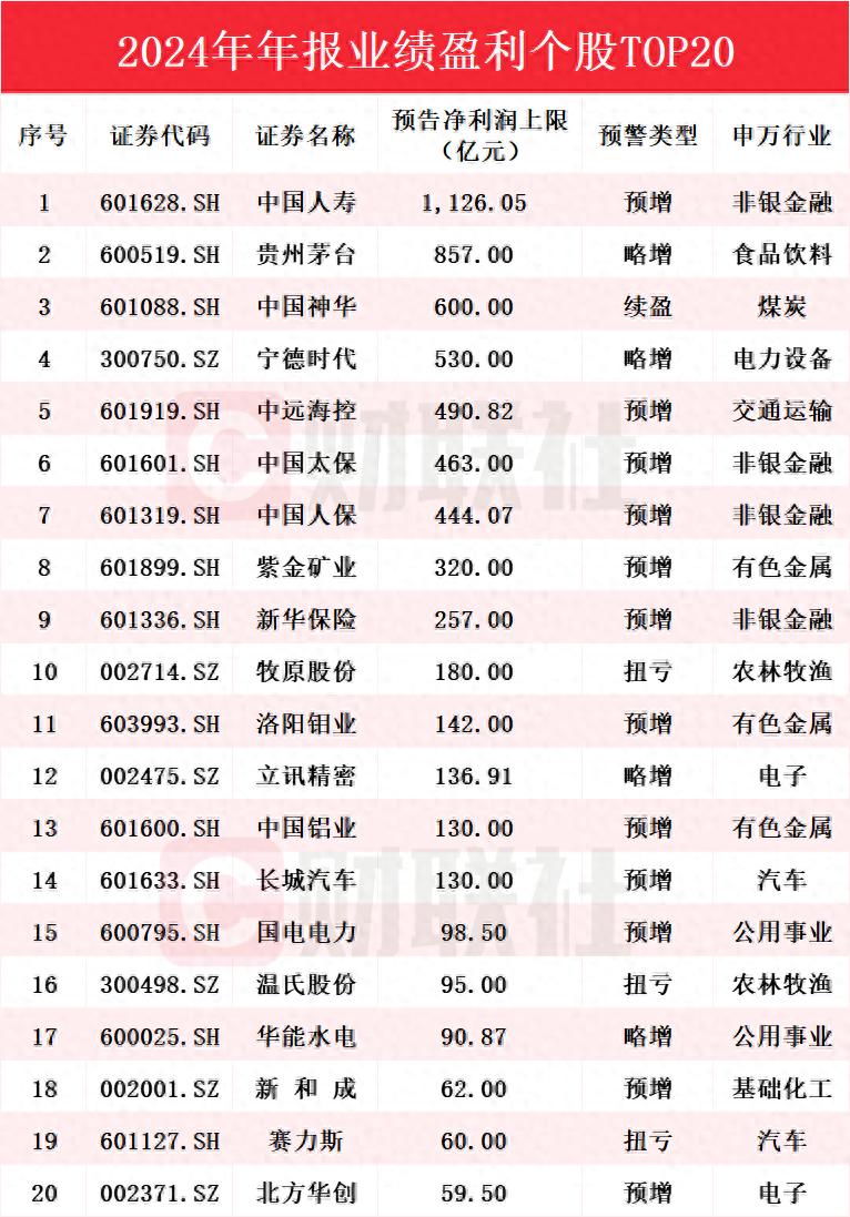 A股2024年业绩大揭秘：中国人寿豪赚千亿问鼎“盈利王”，预盈个股TOP20名单来了